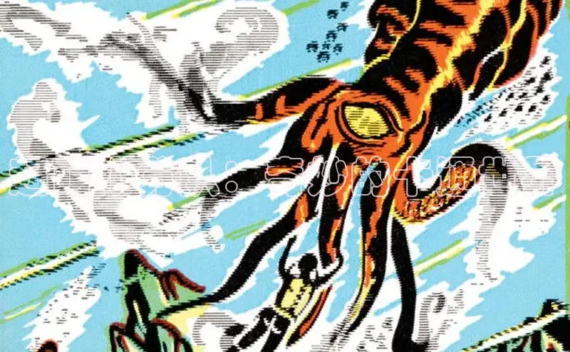 五一动画网页版