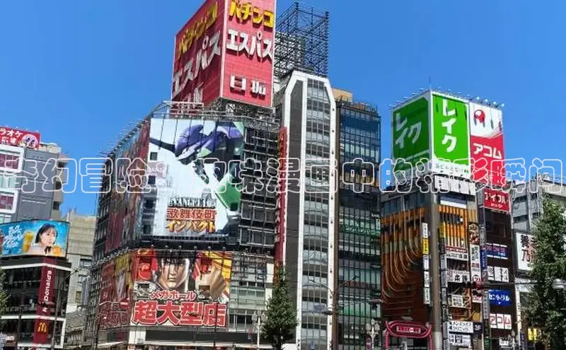 五一动画网页版