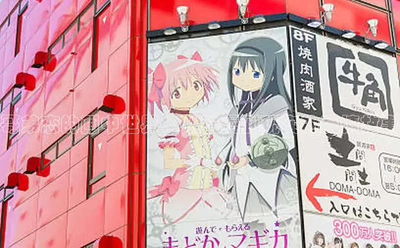 51动画网页版官网